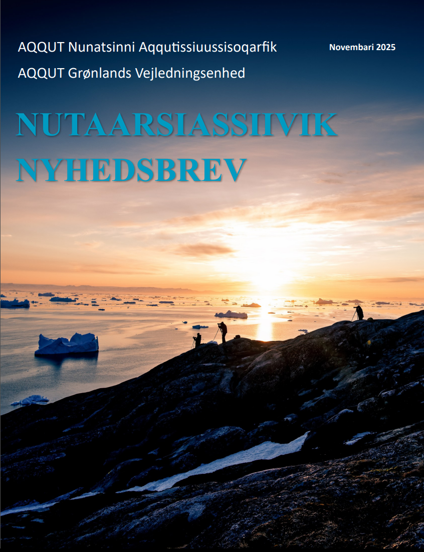 Nutaarsiassiivik 2025